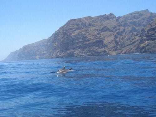 El Paraiso En Los Gigantes Santiago Del Teide Ngoại thất bức ảnh