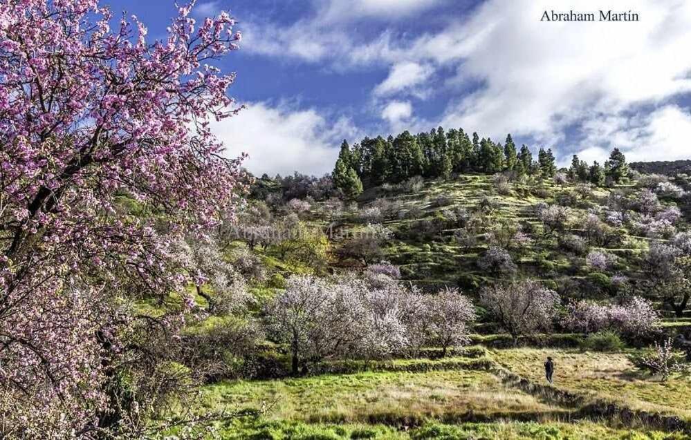 El Paraiso En Los Gigantes Santiago Del Teide Ngoại thất bức ảnh