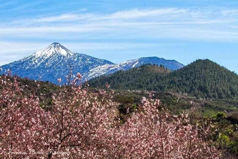 El Paraiso En Los Gigantes Santiago Del Teide Ngoại thất bức ảnh